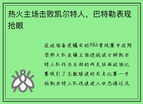 热火主场击败凯尔特人，巴特勒表现抢眼